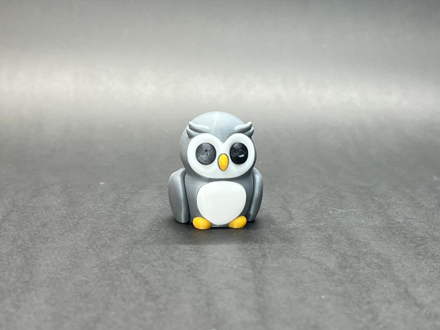 Baby Owl