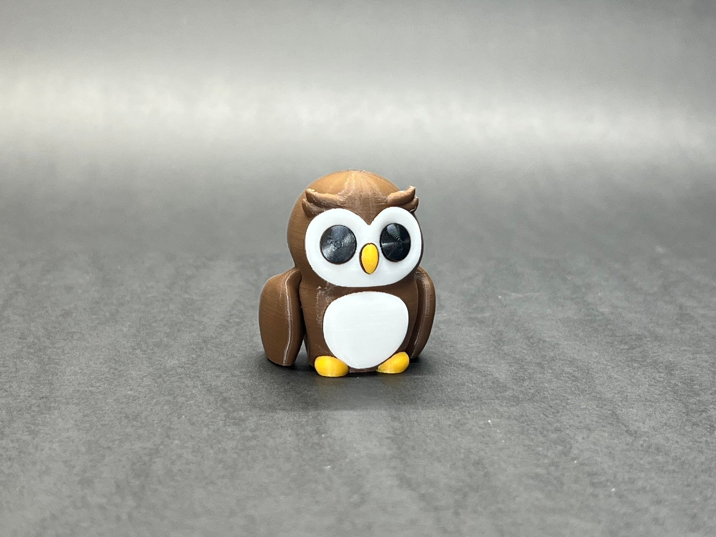Baby Owl