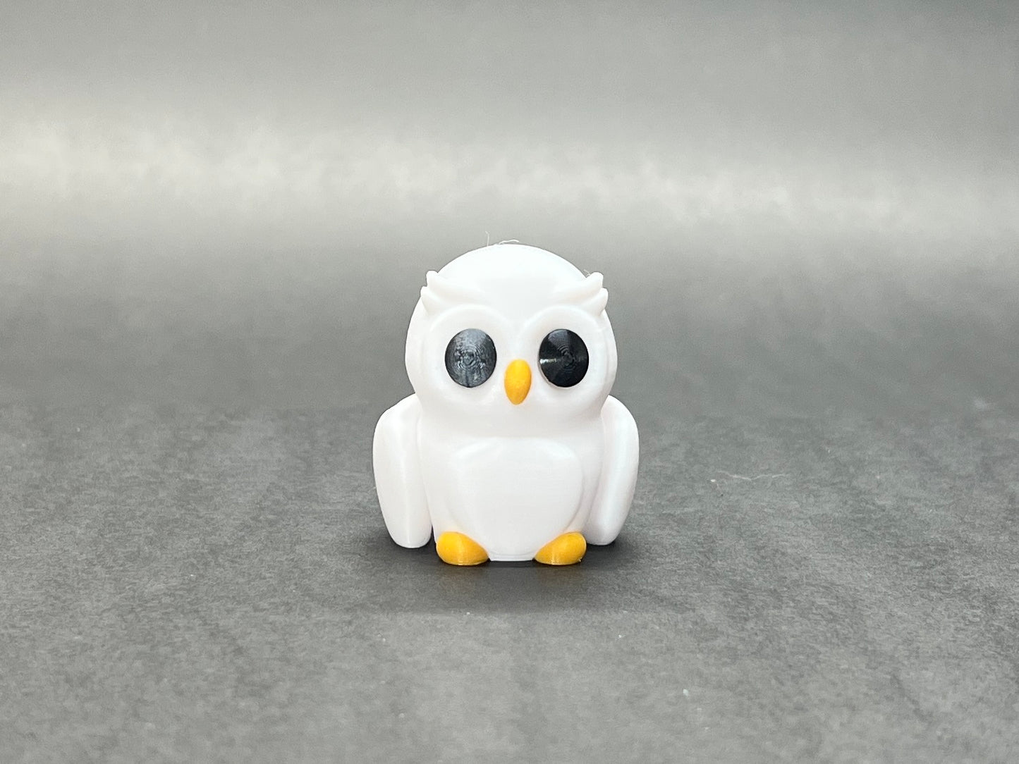 Baby Owl