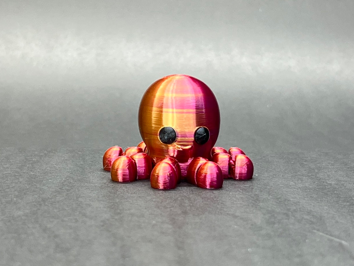 Baby Octopus