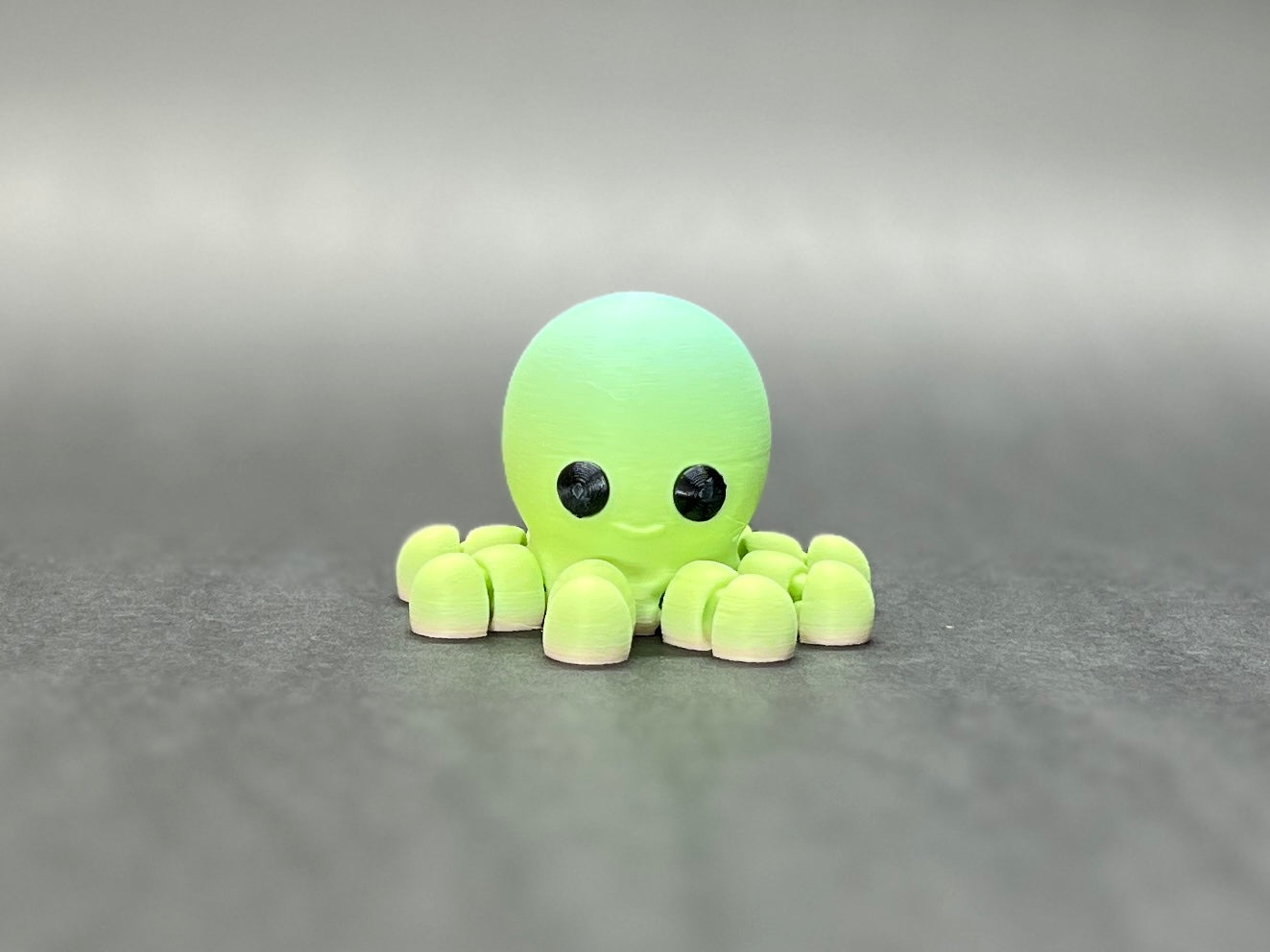 Baby Octopus