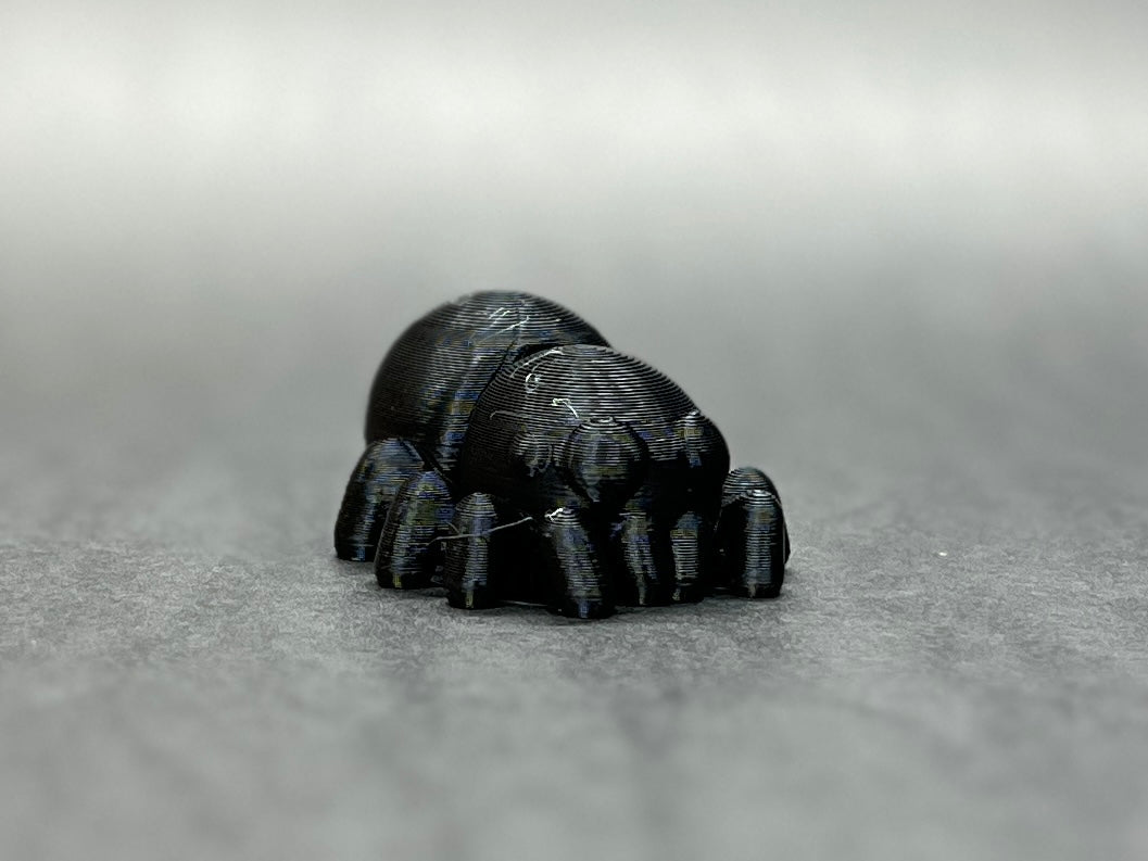 Baby Spider