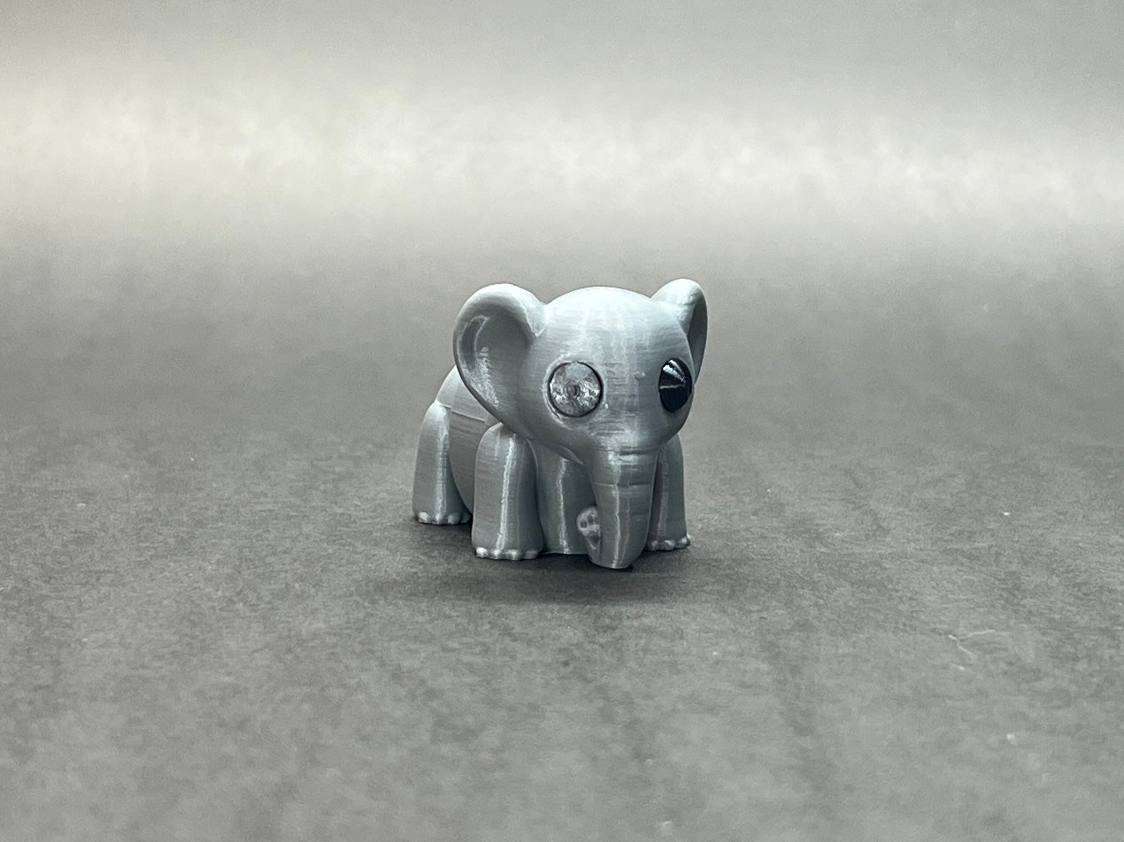 Baby Elephant