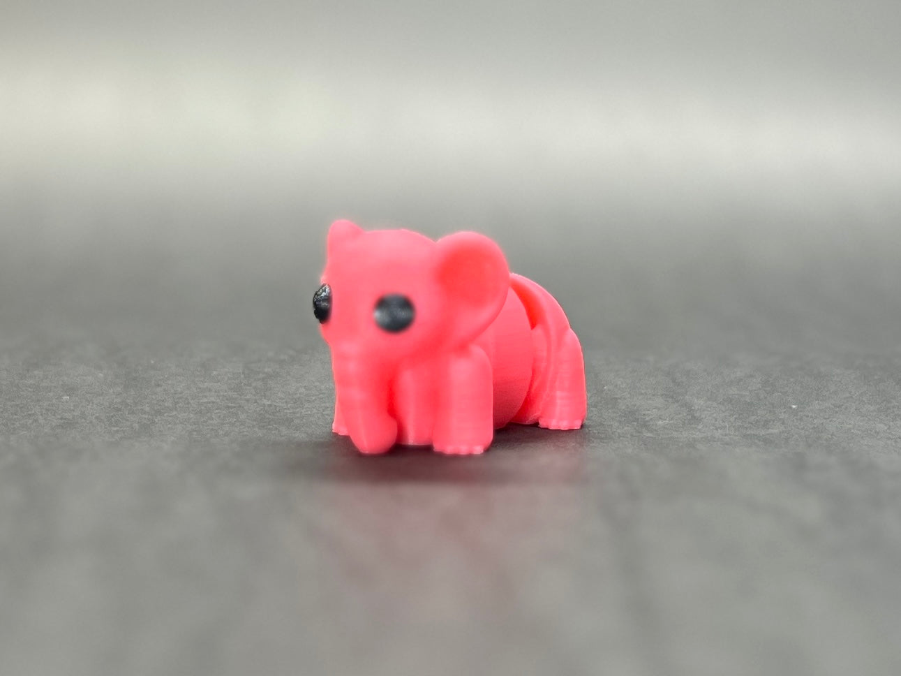 Baby Elephant