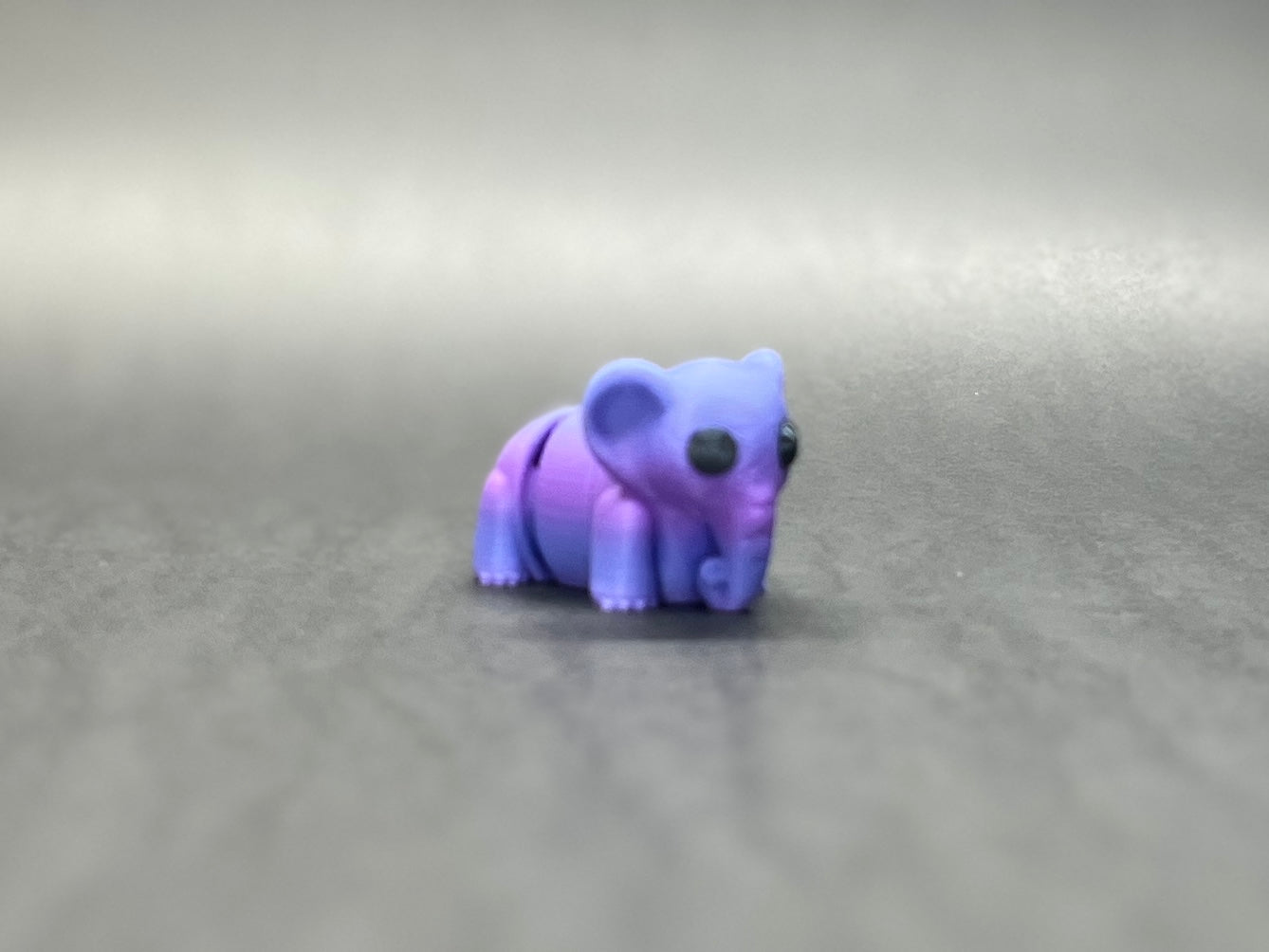 Baby Elephant