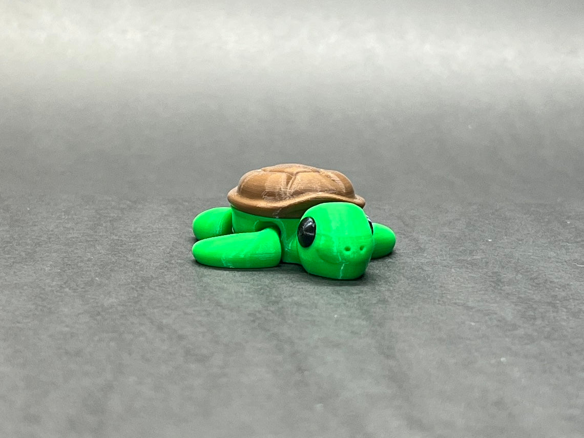 Baby Turtle