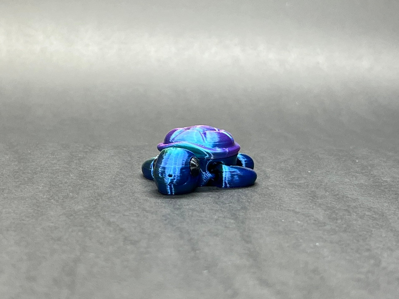 Baby Turtle