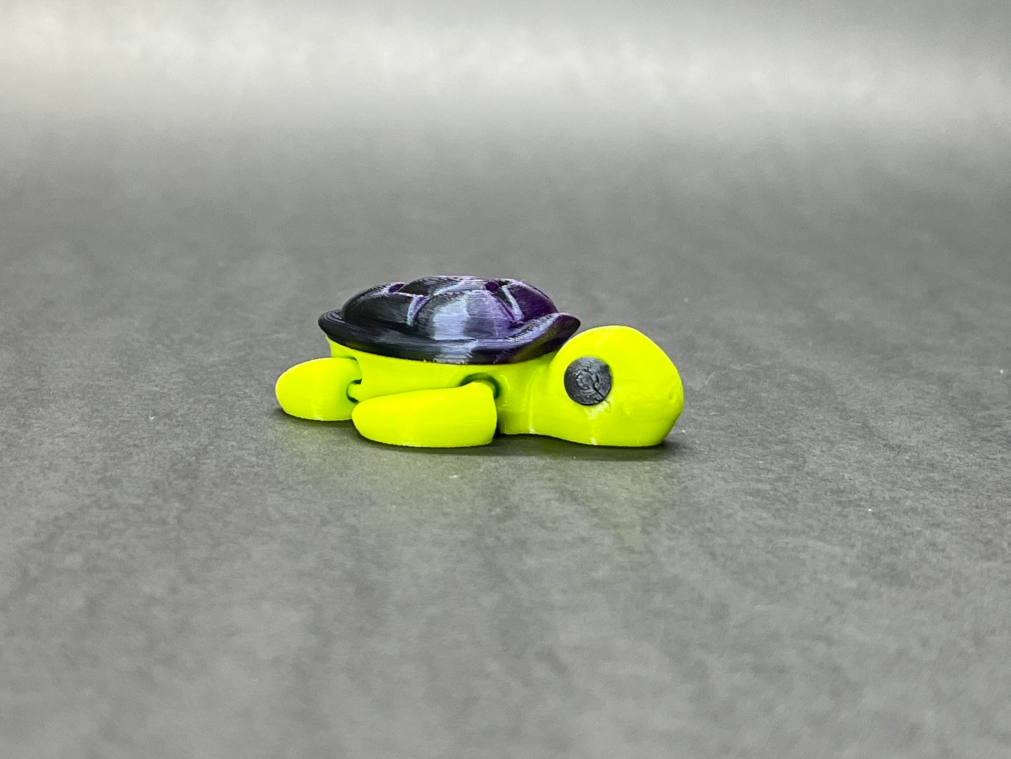 Baby Turtle